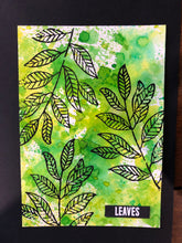 Load image into Gallery viewer, Lemon Myrtle Leaves